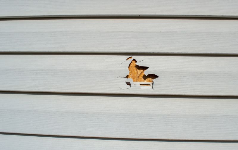 Siding Repair Costs